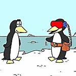 Pinguins pic